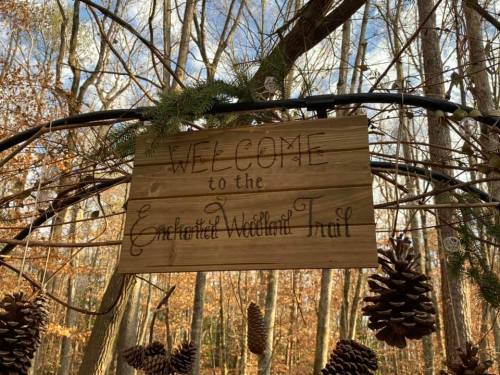 A wooden sign reading "Welcome to the Enchanted Woodland Trail" hangs among trees and pinecones in a forest setting.