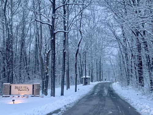 A snowy road leads into a wooded area, with a sign for "Bradford Woods" illuminated in the winter landscape.