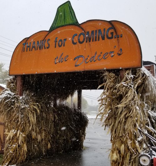 A large pumpkin sign reads "Thanks for Coming... the Didier's," surrounded by corn stalks in falling snow.