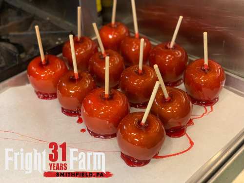 A tray of shiny, red caramel apples on parchment paper, with a logo for Fright Farm in Smithfield, PA.