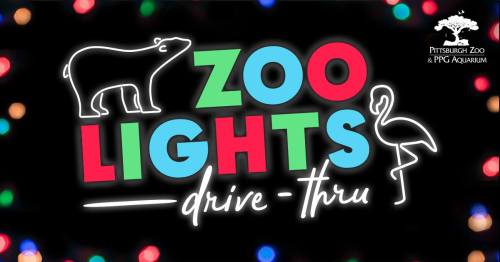 Colorful text reading "Zoo Lights Drive-Thru" with a bear and flamingo outline, set against a festive background.