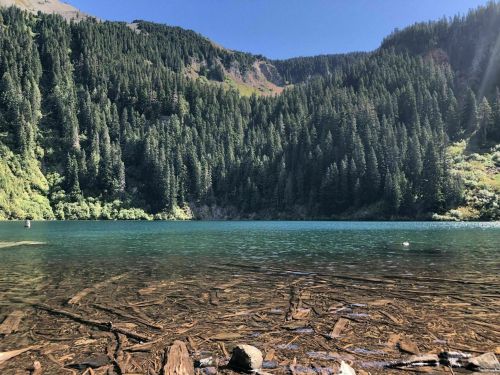 A serene lake surrounded by dense evergreen trees and mountains under a clear blue sky.