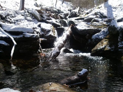 A serene stream flows over rocks, with a snow-covered log and sparkling water in a winter forest setting.
