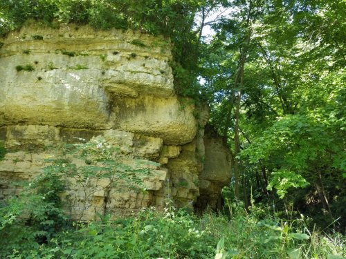 A rocky cliff covered in greenery, surrounded by trees and dense foliage in a natural setting.
