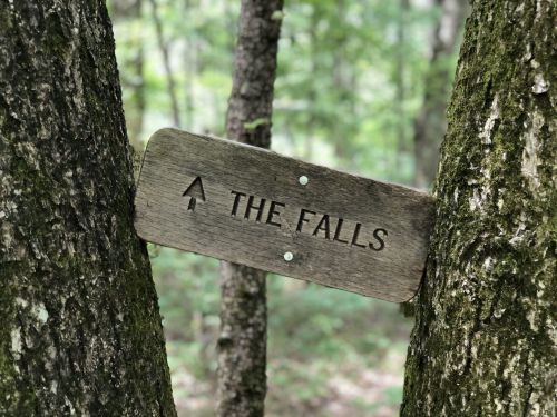 A wooden sign reading "THE FALLS" is nestled between two trees in a lush, green forest.