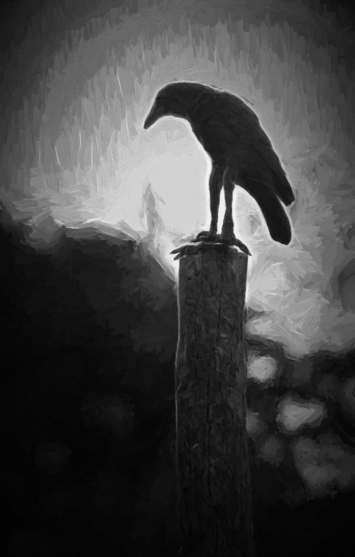 A silhouetted crow perched on a post against a bright, blurred background in black and white.