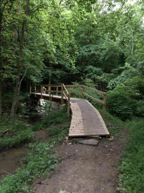 A wooden bridge spans a small creek, surrounded by lush green trees and foliage in a serene forest setting.
