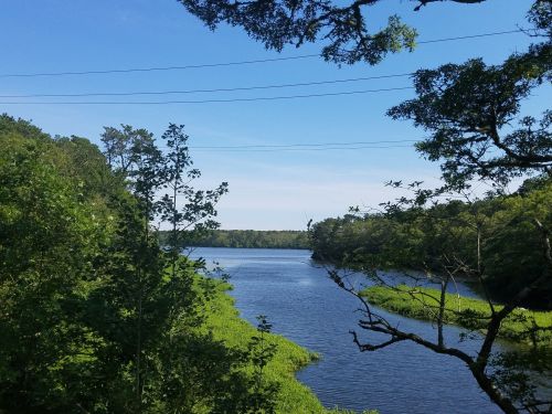 A serene river flows through lush greenery under a clear blue sky, with trees lining the banks.
