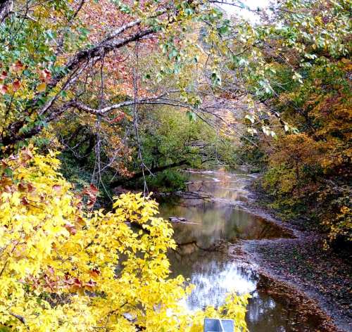 A serene river flows through a forest, surrounded by vibrant autumn foliage in shades of yellow and orange.
