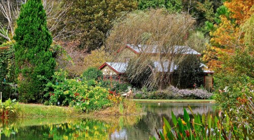 A serene landscape featuring a house surrounded by lush greenery and colorful flowers, reflected in a calm pond.