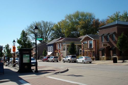 A sunny street view of a small town with shops, trees, and parked cars along the sidewalk.