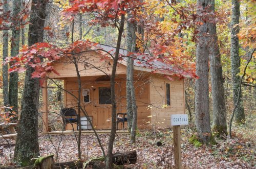 A cozy wooden cabin surrounded by colorful autumn foliage and trees, with a sign reading "Cortina" nearby.