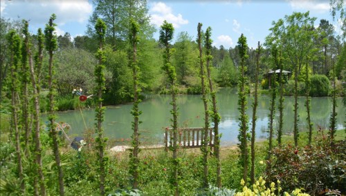 A serene pond surrounded by lush greenery and tall, leafy plants, with a bench nearby and a clear blue sky above.
