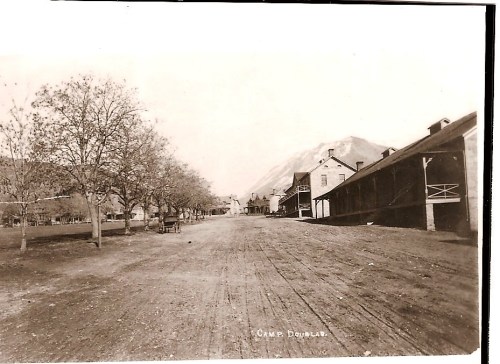 Historic black-and-white photo of Camp Douglas, featuring a dirt road lined with buildings and trees.