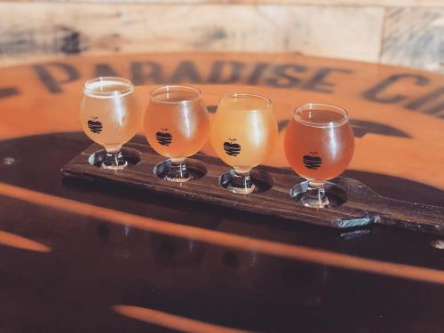 Four small glasses of craft beer in a wooden flight, set against a rustic background.