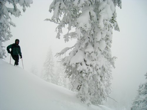 A person in winter gear stands on a snowy slope, surrounded by tall, snow-covered trees in a foggy landscape.