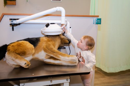 A toddler examines a toy dog under a veterinary lamp in a playful learning environment.