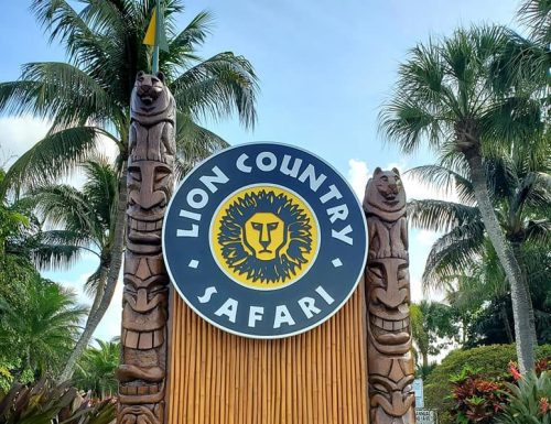 Sign for Lion Country Safari featuring a lion logo, surrounded by tropical plants and palm trees.