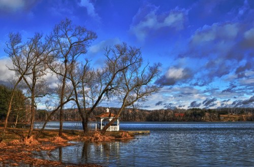 A serene lakeside scene with bare trees, a small gazebo, and a vibrant blue sky with scattered clouds.