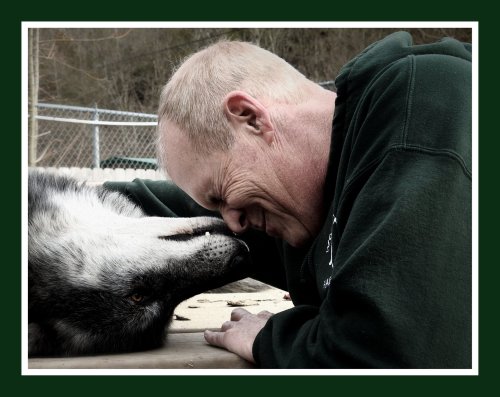 A man gently interacts with a wolf, both leaning close with affectionate expressions in a natural setting.