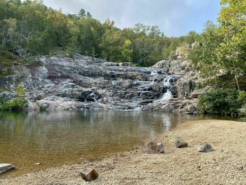 A serene waterfall cascades over rocky terrain into a calm pool, surrounded by lush greenery and trees.