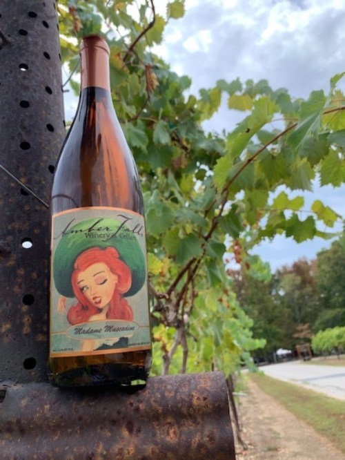 A bottle of wine labeled "Madame Musardine" rests on a rusty pole, surrounded by lush green grapevines.