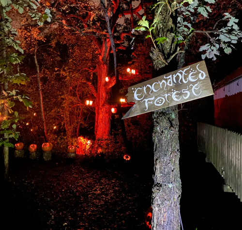 A sign reading "Enchanted Forest" points towards a dark, spooky path lined with glowing pumpkins and eerie lighting.