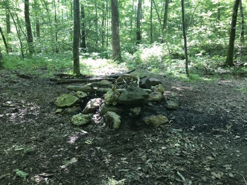 A stone fire pit surrounded by trees in a lush, green forest. Sunlight filters through the leaves.