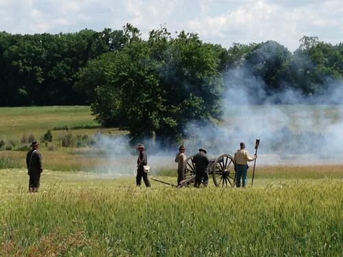 Civil War reenactors operate a cannon in a grassy field, surrounded by smoke and trees in the background.
