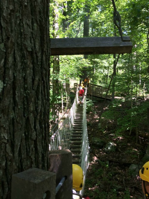A person walks across a suspended rope bridge in a lush green forest, surrounded by trees and sunlight.