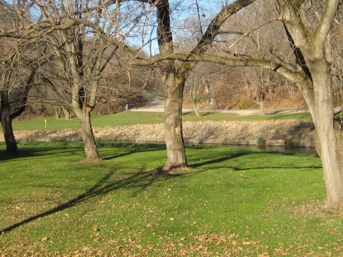 A serene park scene with bare trees, green grass, and a winding path beside a calm stream.