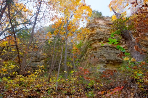 A rocky cliff surrounded by vibrant autumn foliage and trees, capturing the beauty of fall in a forested area.