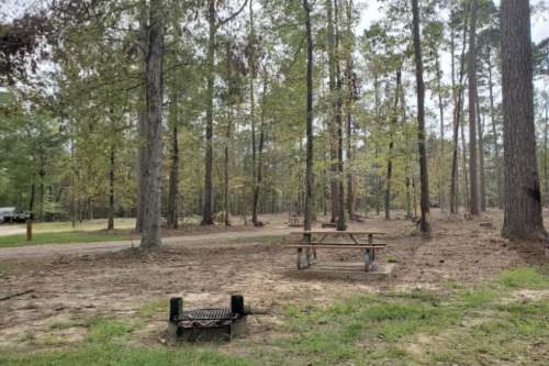 A wooded area with picnic tables and a grill, surrounded by tall trees and a dirt path.