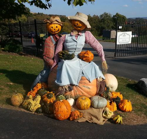 A scarecrow couple with pumpkin heads sits on a large pumpkin, surrounded by various colorful gourds and pumpkins.