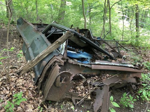 An old, rusted car partially buried in leaves and surrounded by trees in a wooded area.