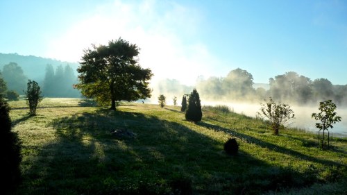 A serene landscape at dawn, featuring mist over a grassy field, trees casting long shadows, and a clear blue sky.