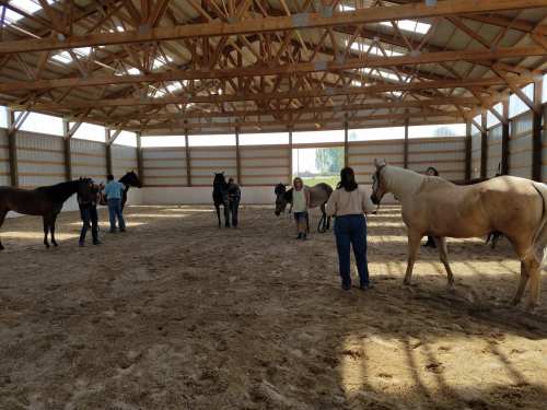 A spacious indoor arena with several people interacting with horses on sandy ground.