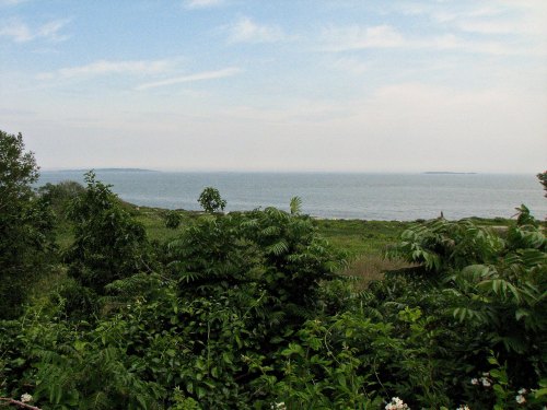 A serene coastal view featuring lush greenery in the foreground and a calm sea under a cloudy sky.