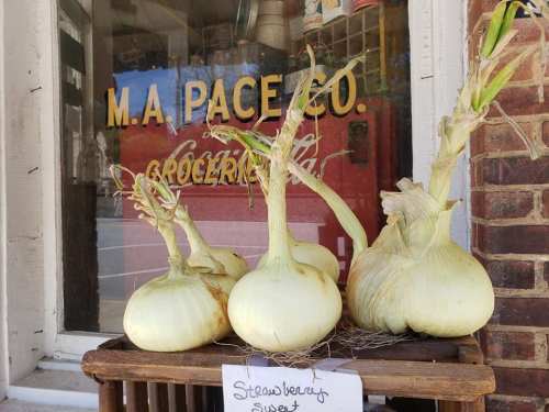 A display of large, white onions with green tops on a wooden crate outside a grocery store.