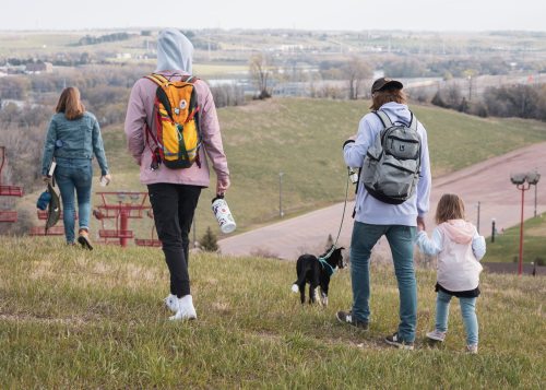 A group of people walking down a grassy hill with a dog, enjoying a scenic view on a sunny day.