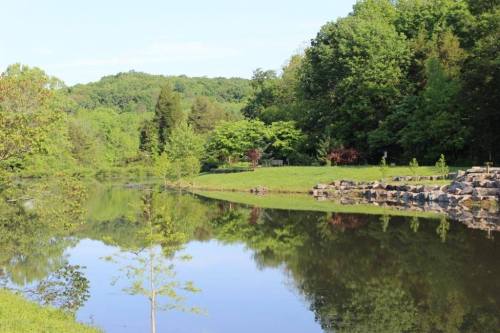 A serene landscape featuring a calm pond reflecting lush green trees and hills under a clear blue sky.