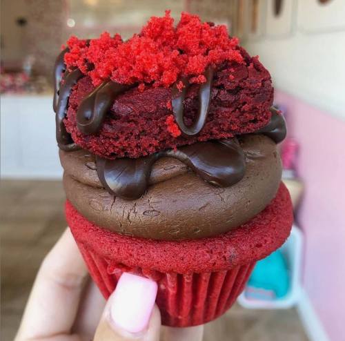 A hand holding a stacked dessert featuring a red velvet cupcake topped with chocolate frosting and a red velvet cookie.