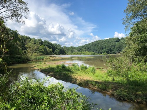 A serene landscape featuring a calm river, lush greenery, and a blue sky with fluffy clouds.