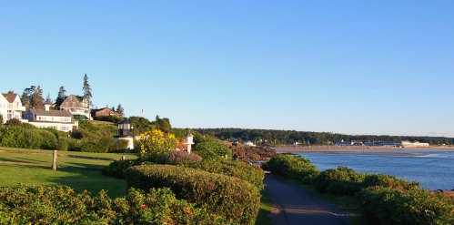Scenic coastal view with lush greenery, houses on a hill, and a calm beach under a clear blue sky.