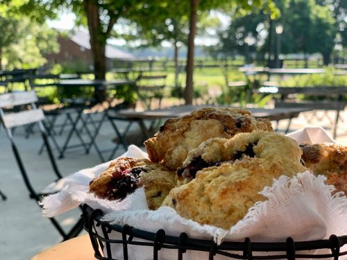 A basket of freshly baked scones on a table outdoors, surrounded by greenery and empty chairs.