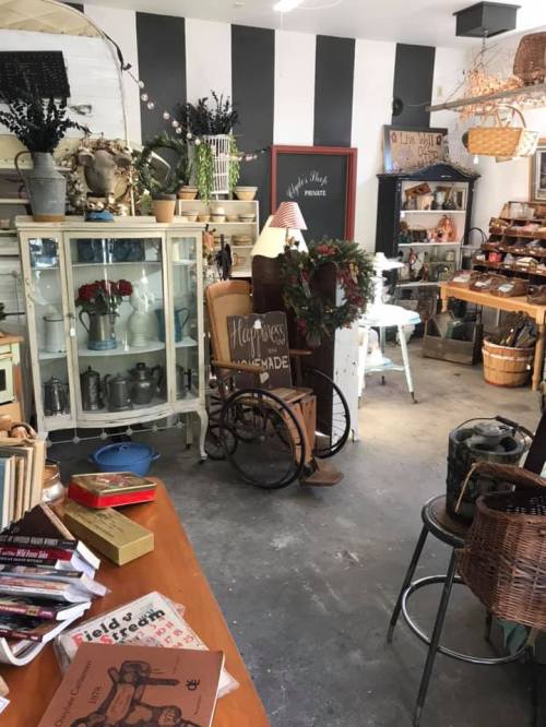 A cozy vintage shop filled with various decor items, furniture, and plants, featuring a mix of rustic and charming displays.