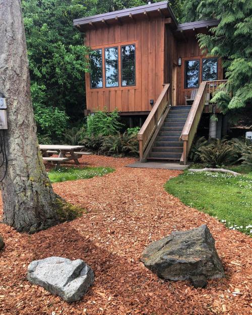 A wooden cabin with large windows, surrounded by greenery and a path of wood chips, leading to a staircase.