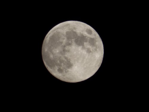 A clear view of a full moon against a dark night sky, showcasing its craters and surface details.