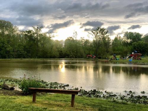 A serene pond surrounded by trees, with a bench in the foreground and playground equipment visible in the background.