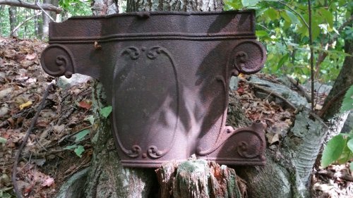An old, rusted metal sign partially embedded in a tree trunk, surrounded by fallen leaves and forest greenery.